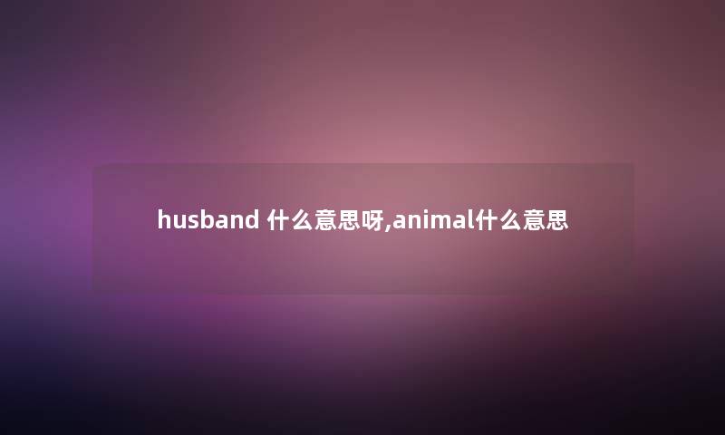 husband 什么意思呀,animal什么意思