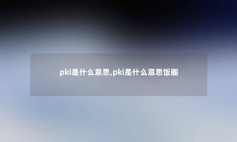 pki是什么意思,pki是什么意思饭圈