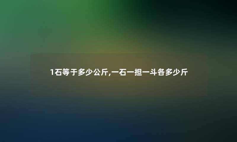 1石等于多少公斤,一石一担一斗各多少斤