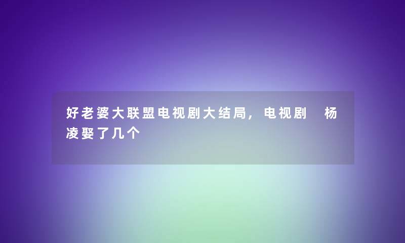 好老婆大联盟电视剧大结局,电视剧 杨凌娶了几个