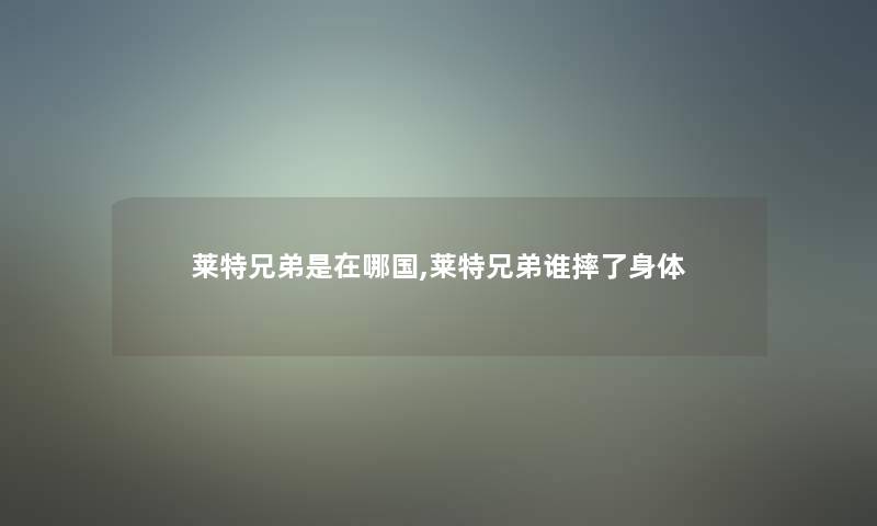 莱特兄弟是在哪国,莱特兄弟谁摔了身体