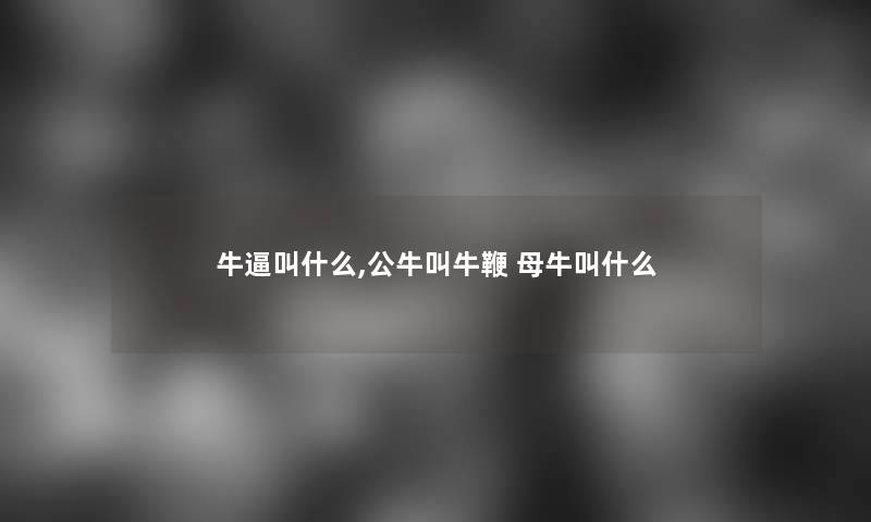 牛逼叫什么,公牛叫牛鞭 母牛叫什么