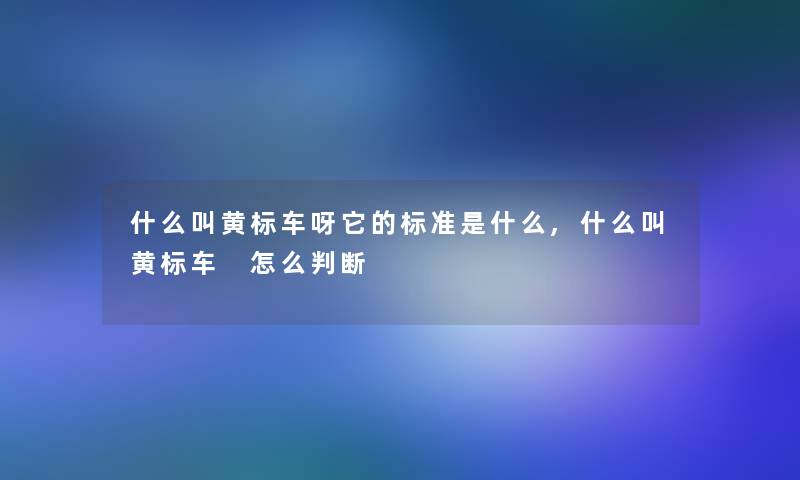 什么叫黄标车呀它的标准是什么,什么叫黄标车 怎么判断