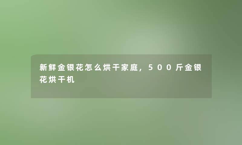 新鲜金银花怎么烘干家庭,500斤金银花烘干机