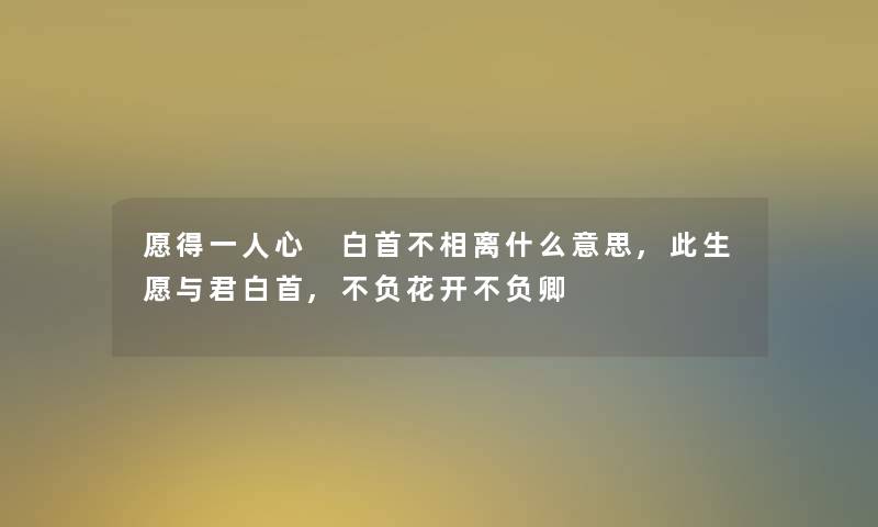 愿得一人心 白首不相离什么意思,此生愿与君白首,不负花开不负卿