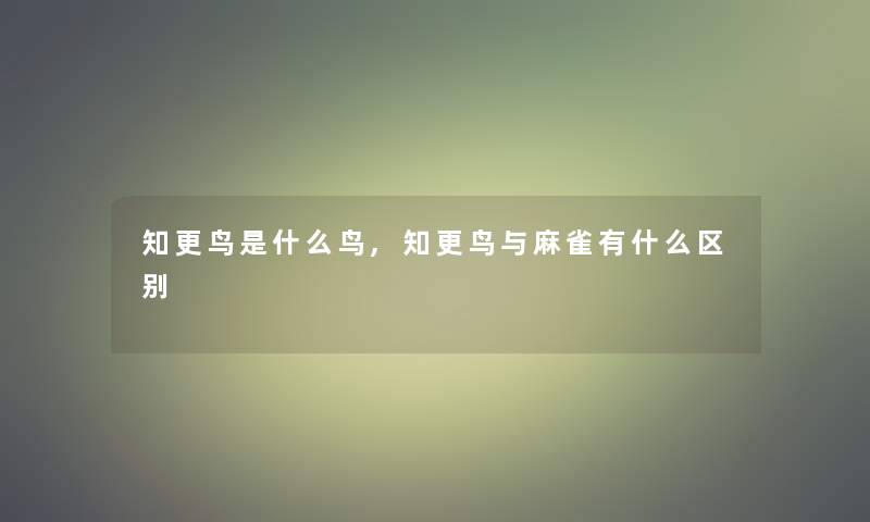 知更鸟是什么鸟,知更鸟与麻雀有什么区别