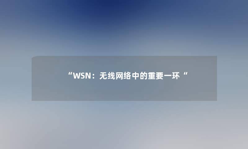 “WSN：无线网络中的重要一环“