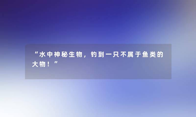 水中神秘生物，钓到一只不属于鱼类的大物！