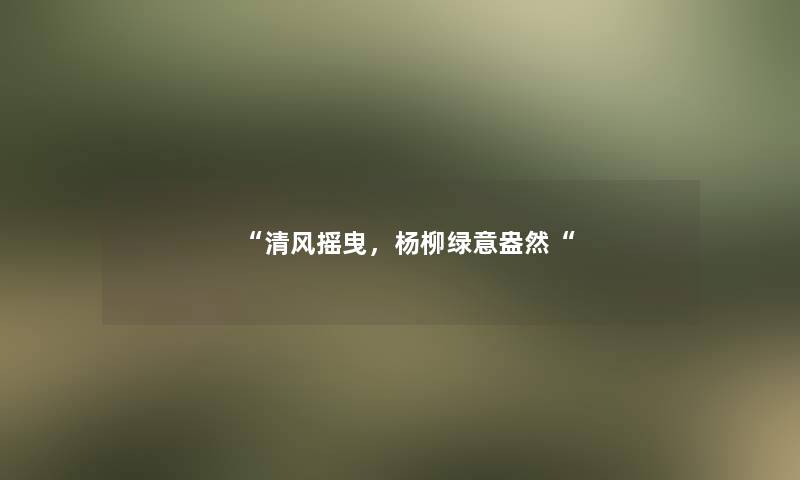 清风摇曳，杨柳绿意盎然