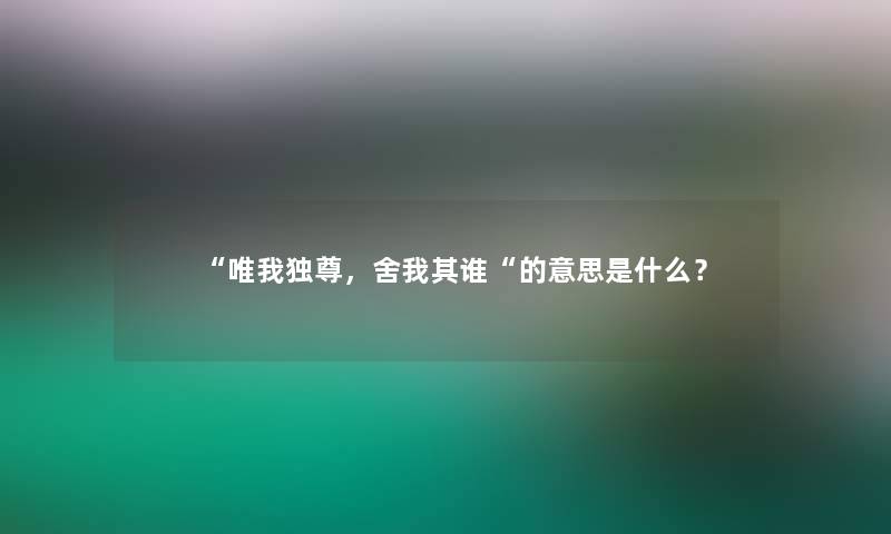 唯我独尊，舍我其谁的意思是什么？