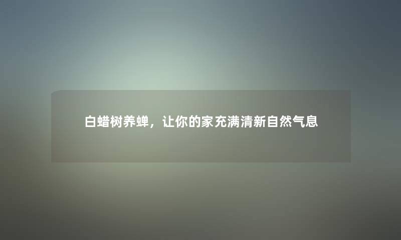 白蜡树养蝉，让你的家充满清新自然气息