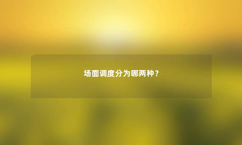 场面调度分为哪两种？