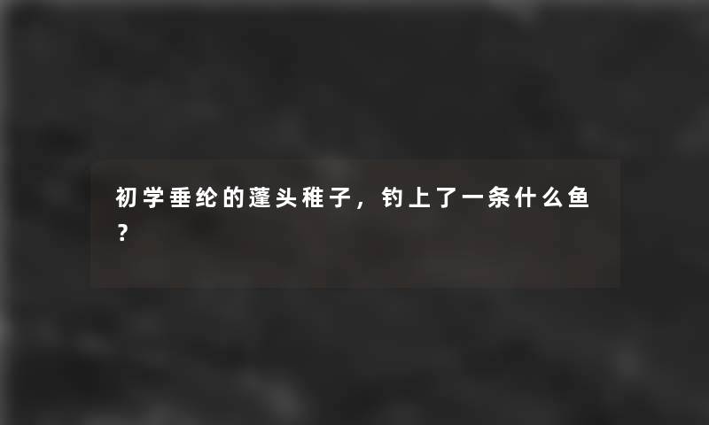 初学垂纶的蓬头稚子，钓上了一条什么鱼？