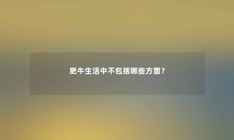 肥牛生活中不包括哪些方面？