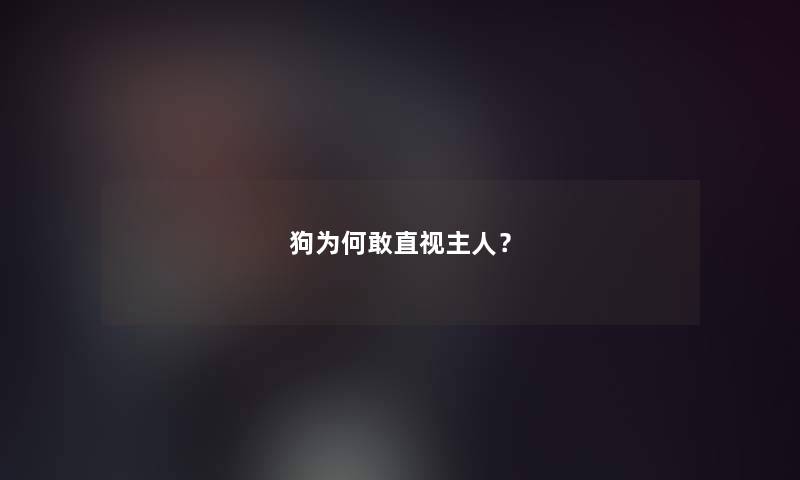 狗为何敢直视主人？