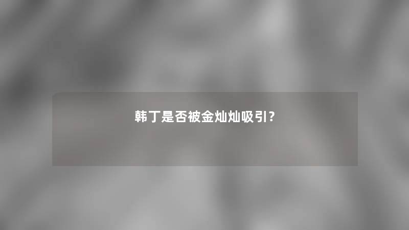 韩丁是否被金灿灿吸引？