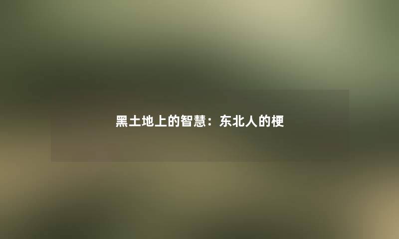 黑土地上的：东北人的梗