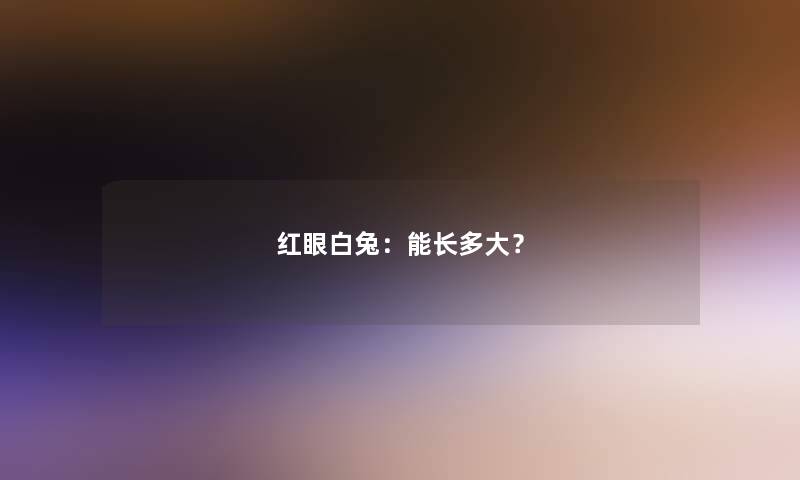 红眼白兔：能长多大？