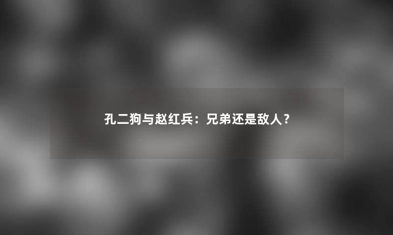 孔二狗与赵红兵：兄弟还是敌人？