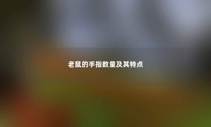 老鼠的手指数量及其特点