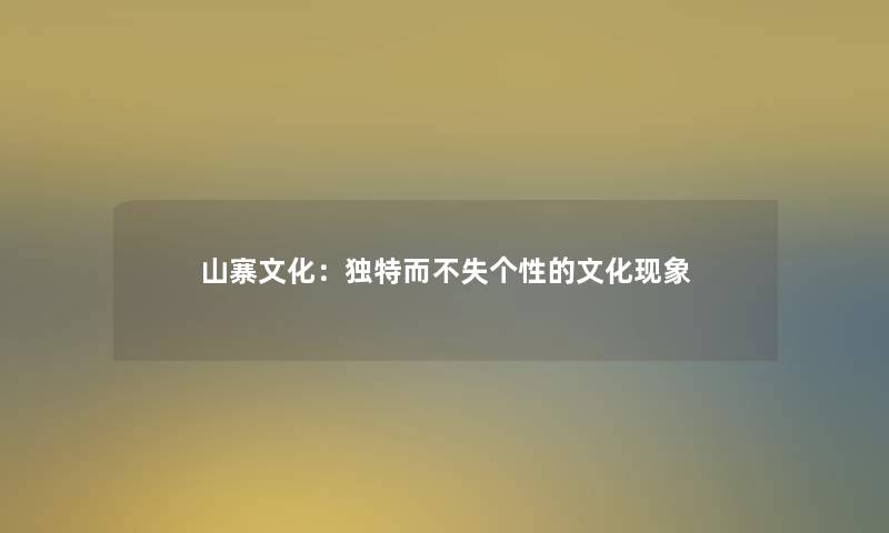 山寨文化：独特而不失个性的文化现象