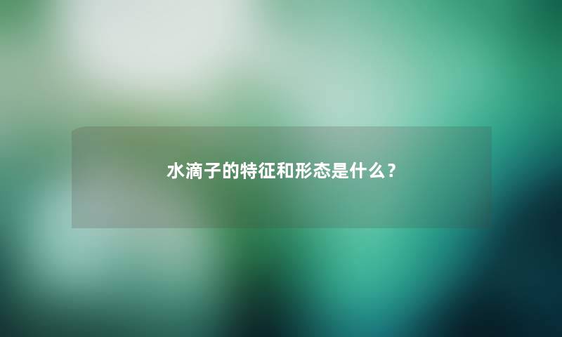 水滴子的特征和形态是什么？