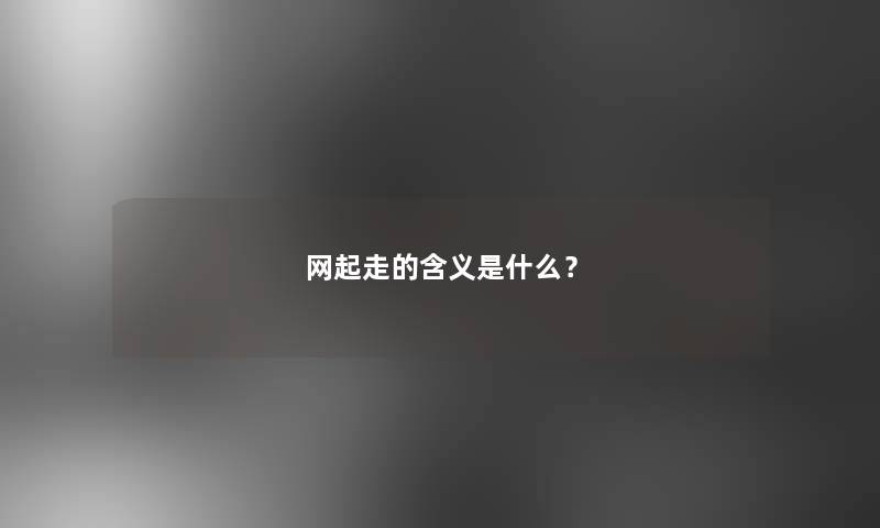 网起走的含义是什么？