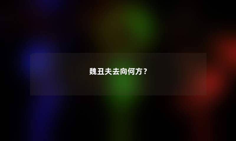 魏丑夫去向何方？