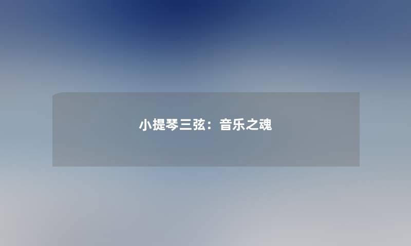 小提琴三弦：音乐之魂