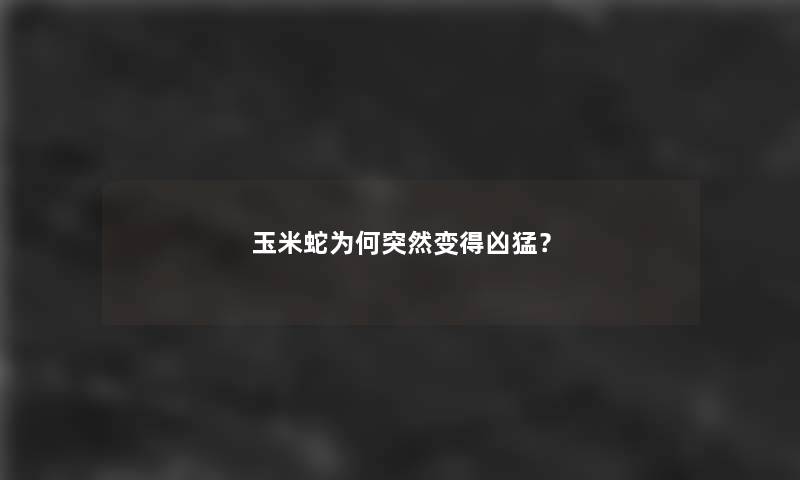 玉米蛇为何突然变得凶猛？