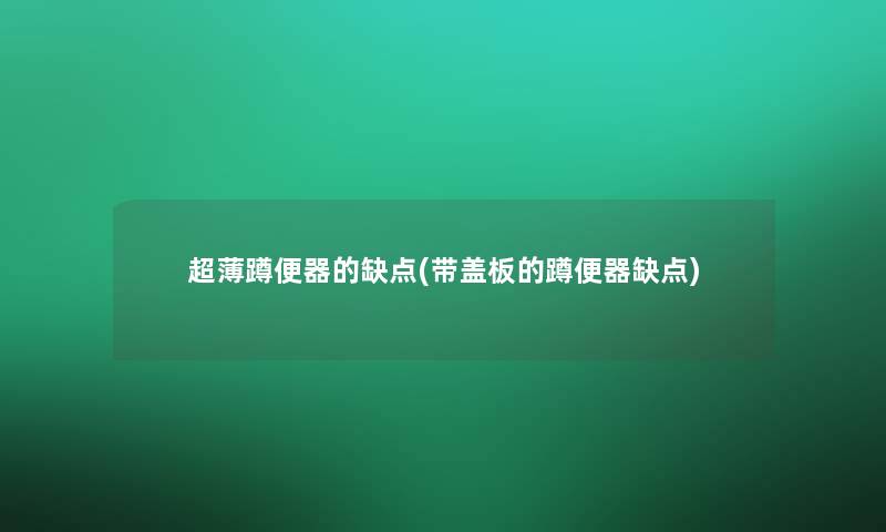 超薄蹲便器的缺点(带盖板的蹲便器缺点)