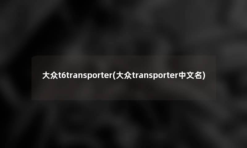 大众t6transporter(大众transporter中文名)