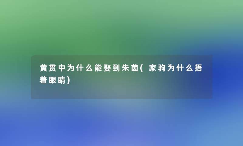 黄贯中为什么能娶到朱茵(家驹为什么捂着眼睛)