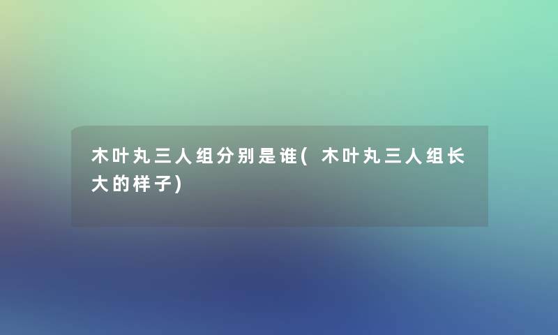 木叶丸三人组分别是谁(木叶丸三人组长大的样子)