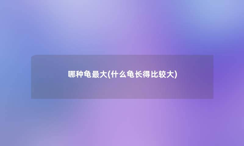 哪种龟大(什么龟长得比较大)