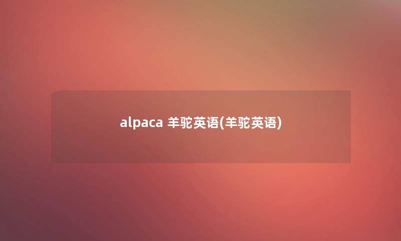 alpaca 羊驼英语(羊驼英语)