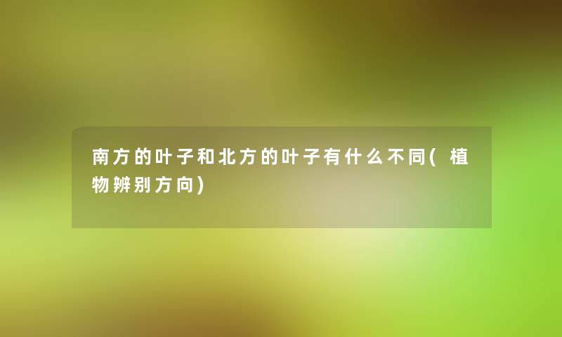 南方的叶子和北方的叶子有什么不同(植物辨别方向)