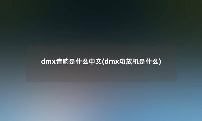 dmx音响是什么中文(dmx功放机是什么)