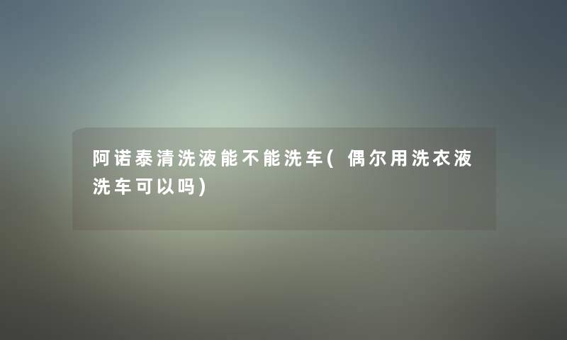 阿诺泰清洗液能不能洗车(偶尔用洗衣液洗车可以吗)