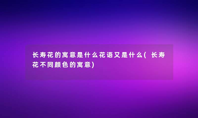 长寿花的寓意是什么花语又是什么(长寿花不同颜色的寓意)