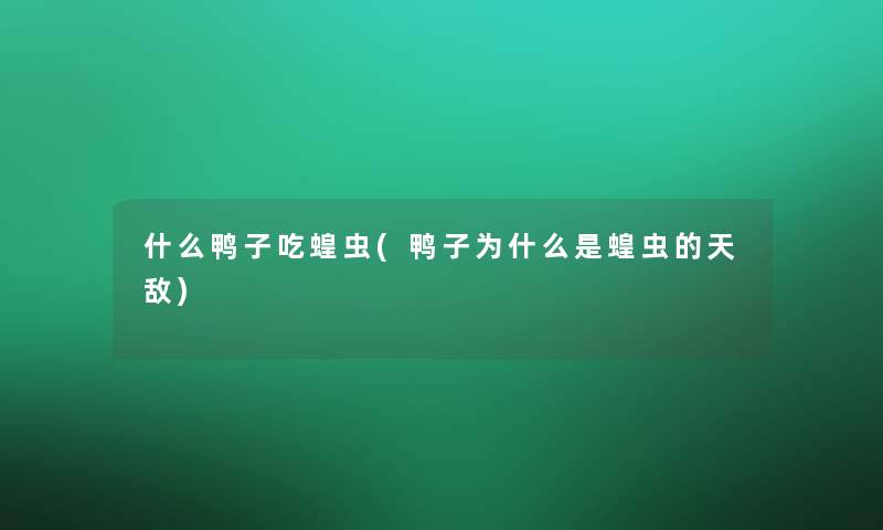 什么鸭子吃蝗虫(鸭子为什么是蝗虫的天敌)