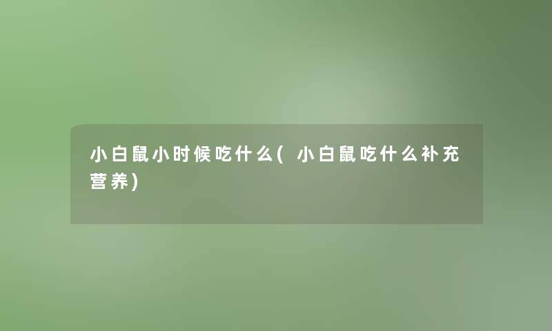 小白鼠小时候吃什么(小白鼠吃什么补充营养)