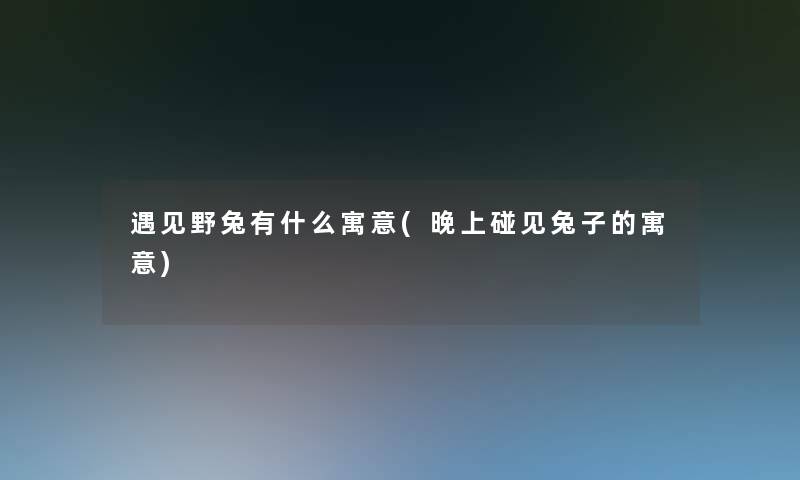 遇见野兔有什么寓意(晚上碰见兔子的寓意)