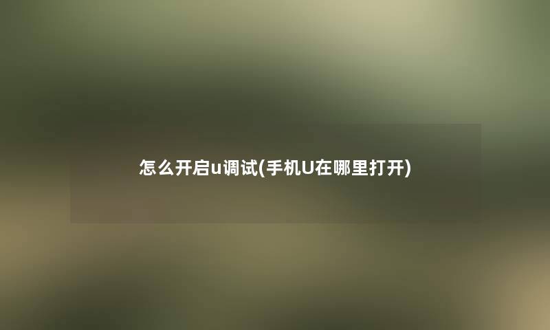 怎么开启u调试(手机U在哪里打开)