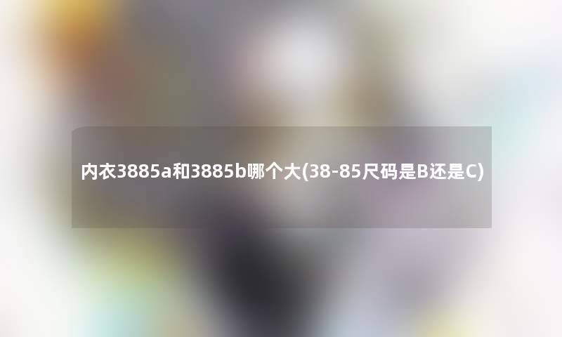 内衣3885a和3885b哪个大(38-85尺码是B还是C)