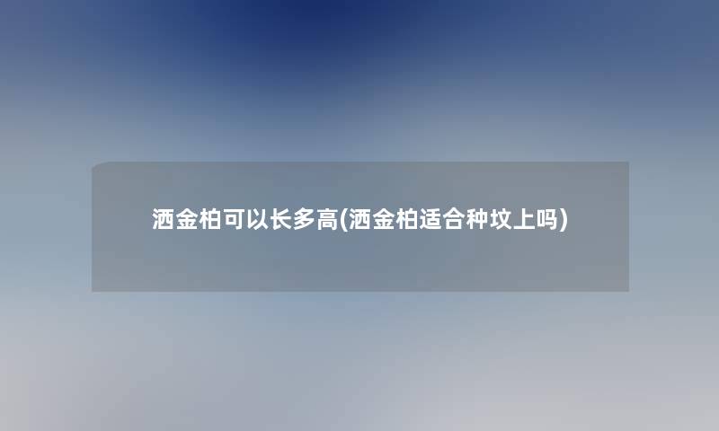 洒金柏可以长多高(洒金柏适合种坟上吗)