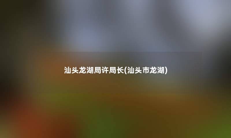 汕头龙湖局许局长(汕头市龙湖)