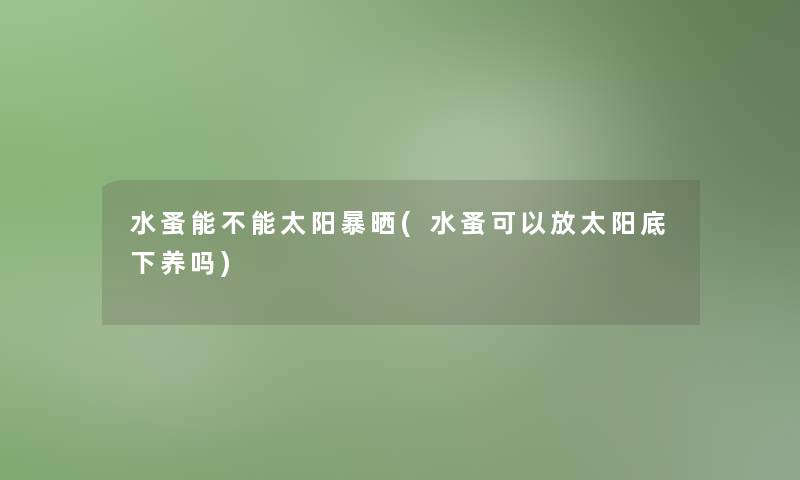 水蚤能不能太阳暴晒(水蚤可以放太阳底下养吗)