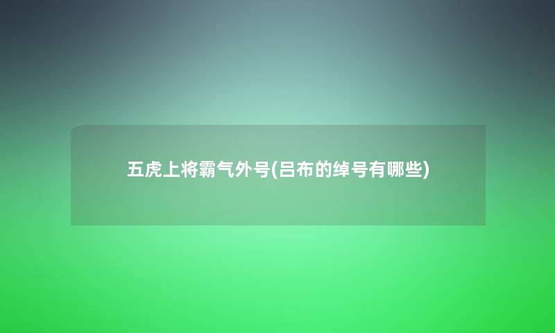 五虎上将霸气外号(吕布的绰号有哪些)