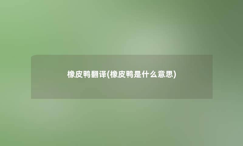 橡皮鸭翻译(橡皮鸭是什么意思)